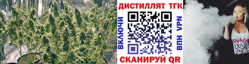 что такое наркотик  Болгар  ТГК THC oil 