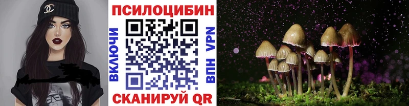 Псилоцибиновые грибы мухоморы  наркошоп  Болгар 